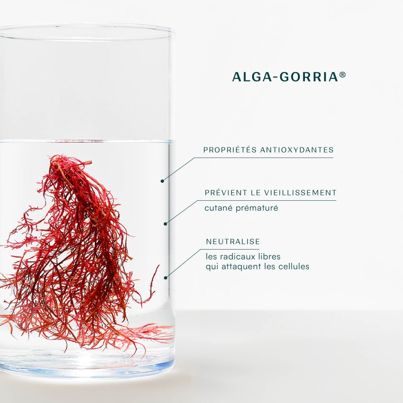 SPF30 Tinted Sun Cream