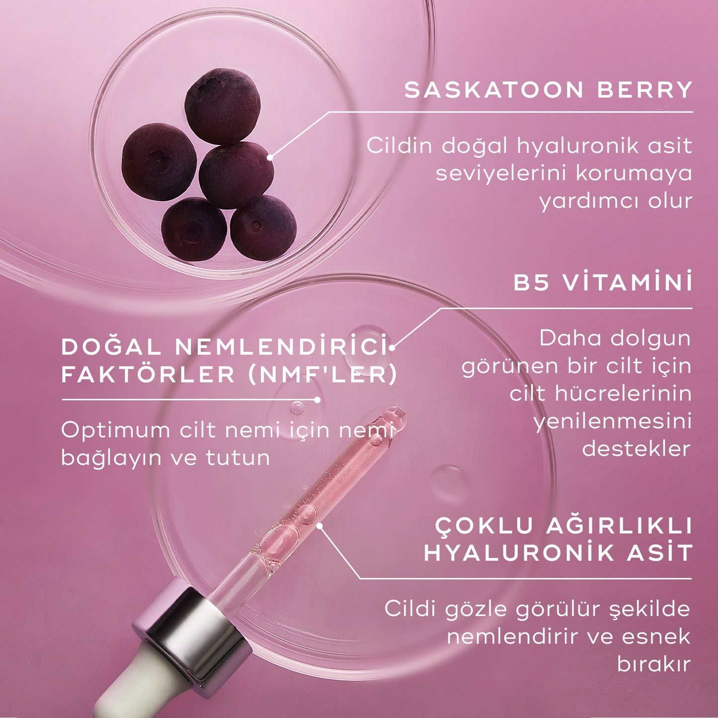 Hydr8 B5™ Intense